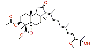 Globostellatic acid C methyl ester